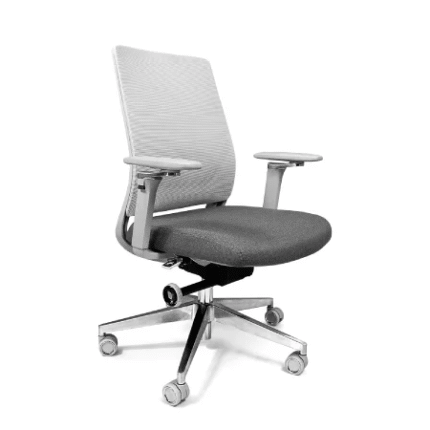 Alfa Ejecutiva Gris